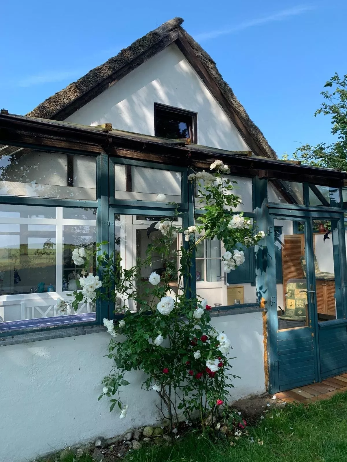 Immobilienangebot - Ahrenshoop - Alle - AHRENSHOOP ARTS AREA