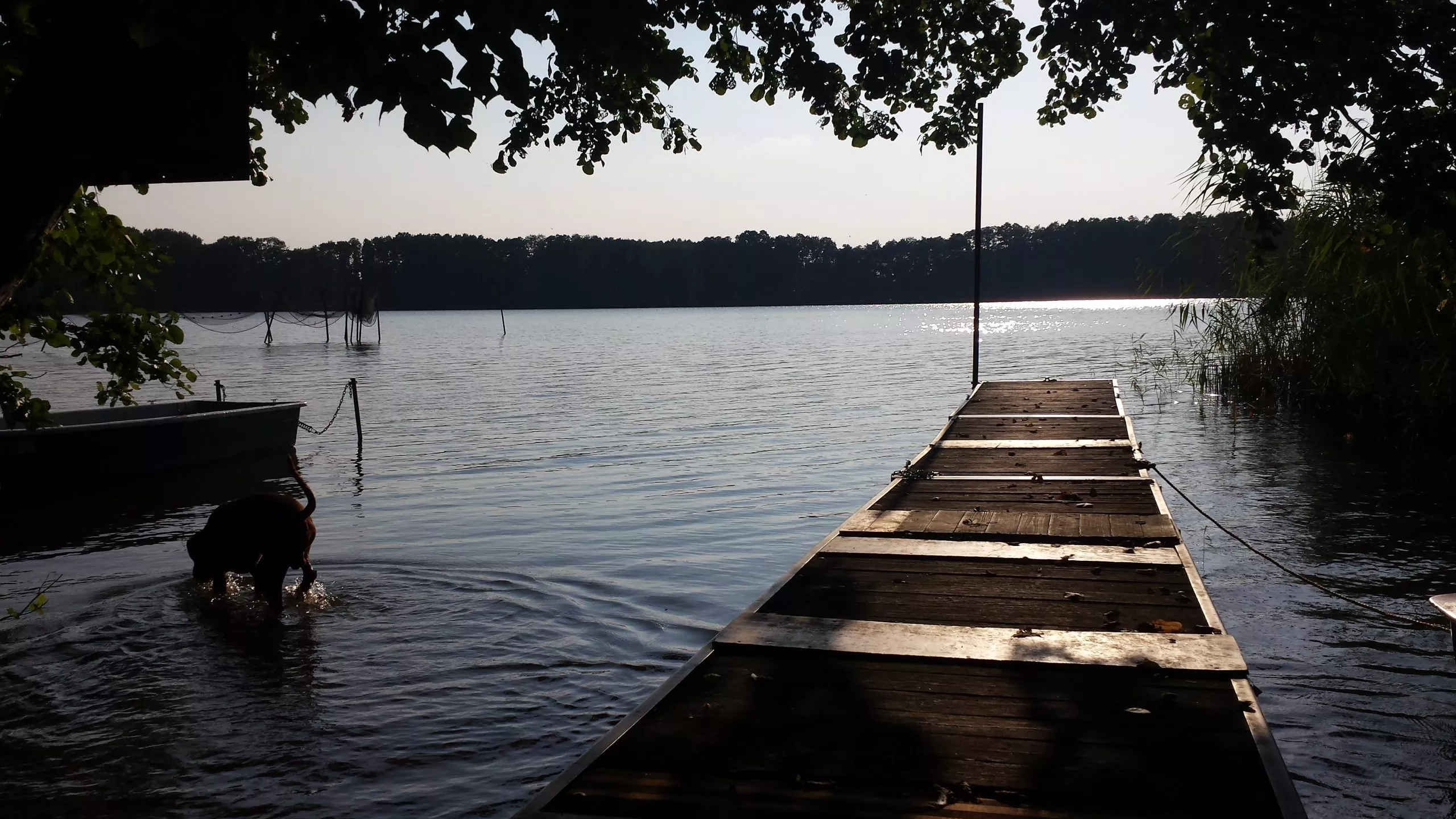 Immobilienangebot - Altseehof - Alle - Der Sommer 2024 ist reserviert - Blick auf den See gesichert