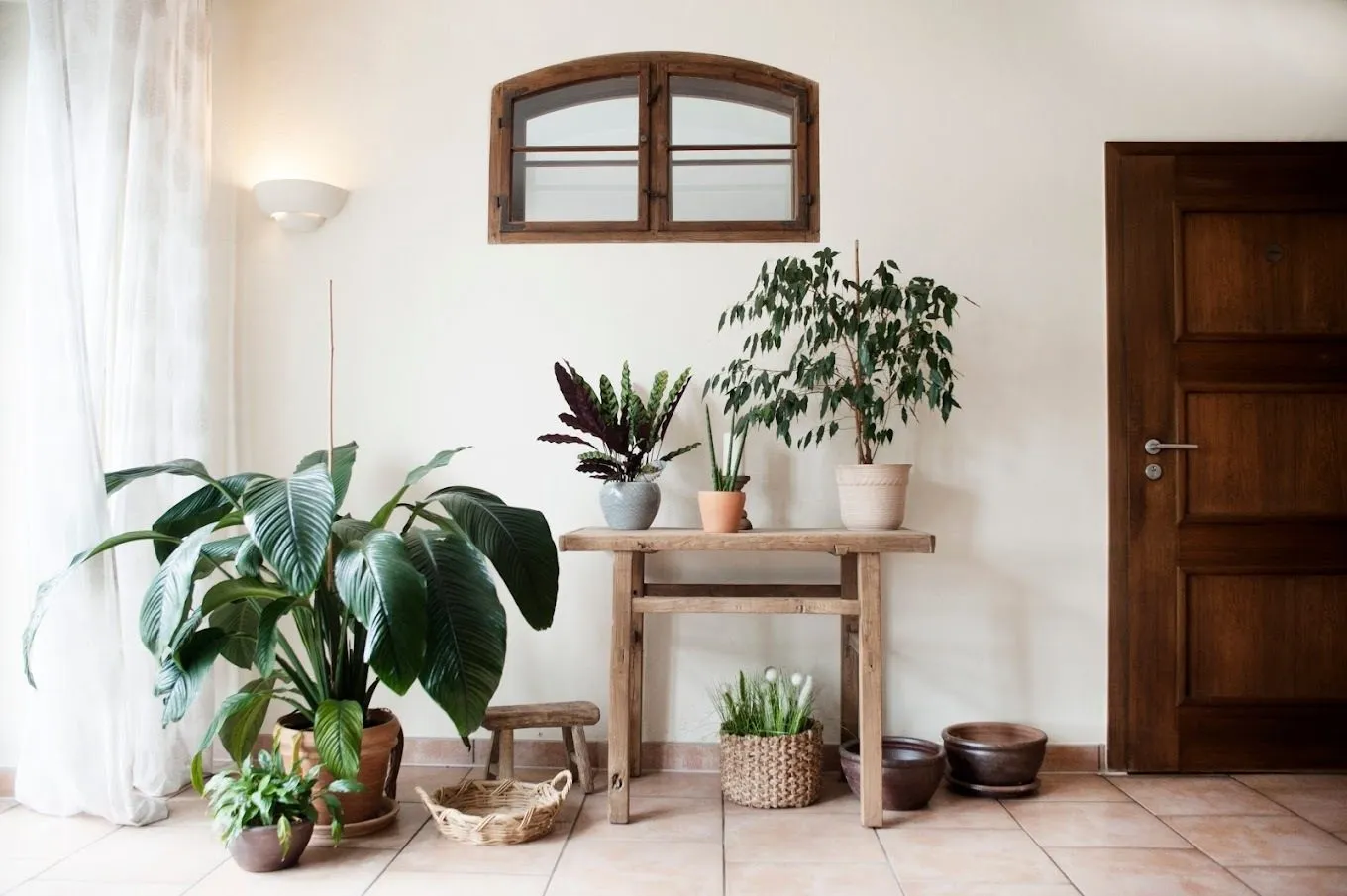 Immobilienangebot - Wustrau - Alle - LOCATION direkt am Ruppiner See - 1A Lage