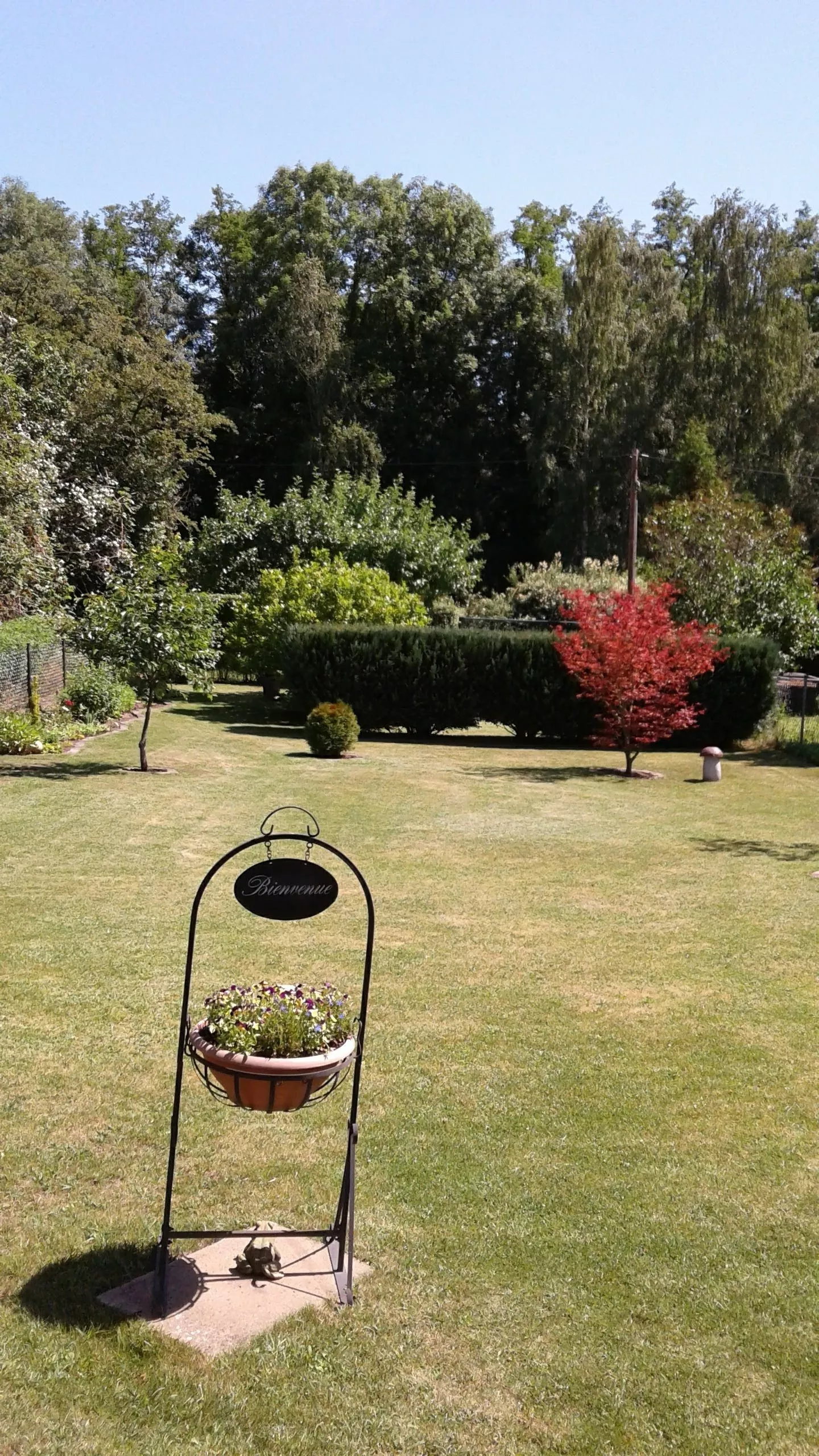 Immobilienangebot - Neuruppin - Alle - RESERVIERT - Gartengrundstück mit Holzhaus - nahe Badestelle