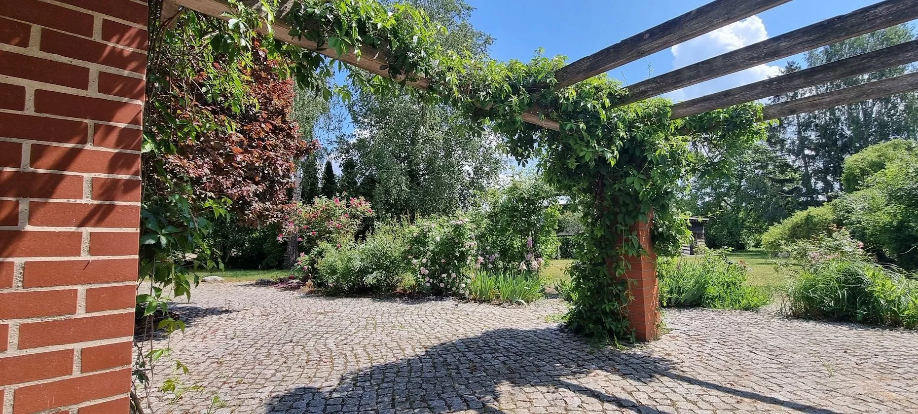 Immobilienangebot - Wustrau - Alle - Nähe Ruppiner See - idyllisch gelegen - Blick zum Luch