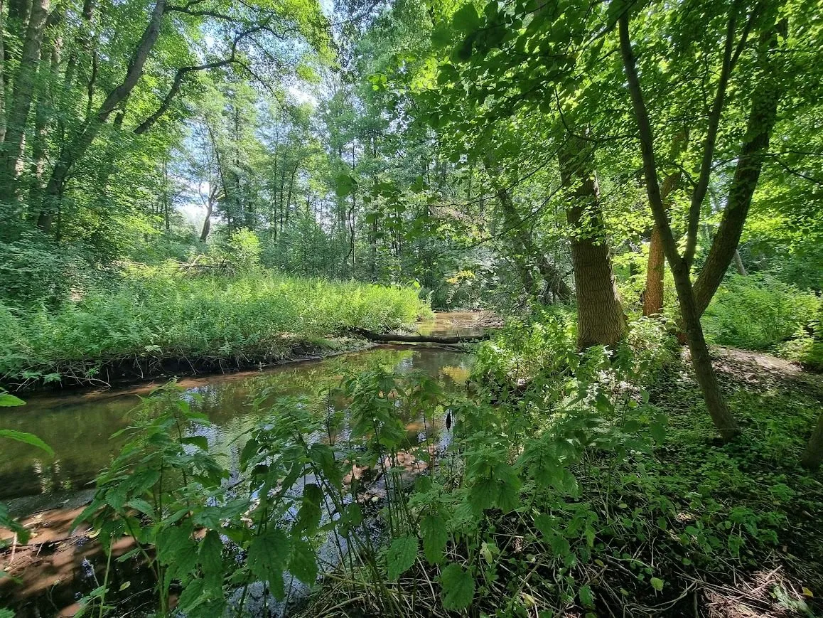 Immobilienangebot - Putlitz - Alle - Frühlingsidylle zwischen HH & Berlin – Bauernhaus, Scheune, Teich, Streuobstwiese