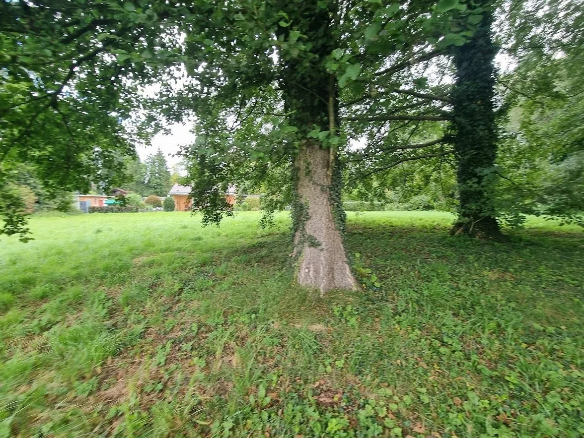 Immobilienangebot - Neuruppin - Alle - Natur pur  und voller Möglichkeiten: Haus zwischen zwei Seen, Wintergarten u. Scheune zum Entwickeln