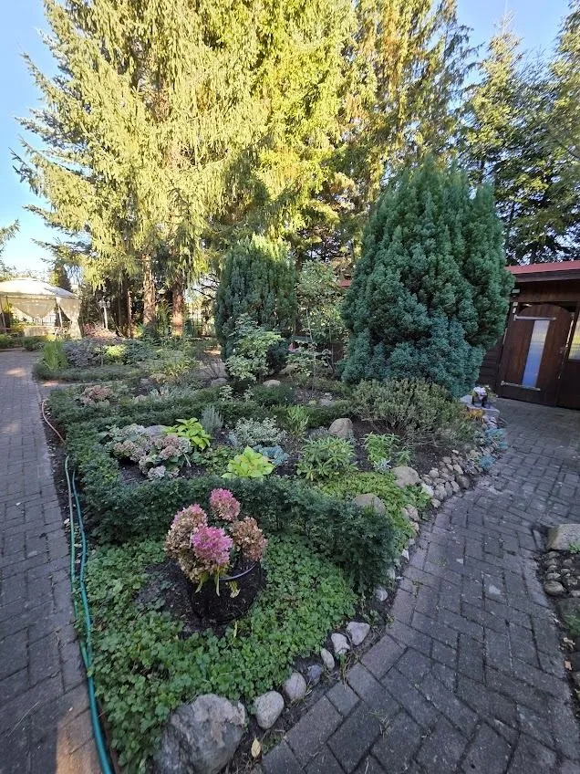 Immobilienangebot - Alt Ruppin - Alle - Idyllisches Waldanwesen - solide saniert - mit Baureserve