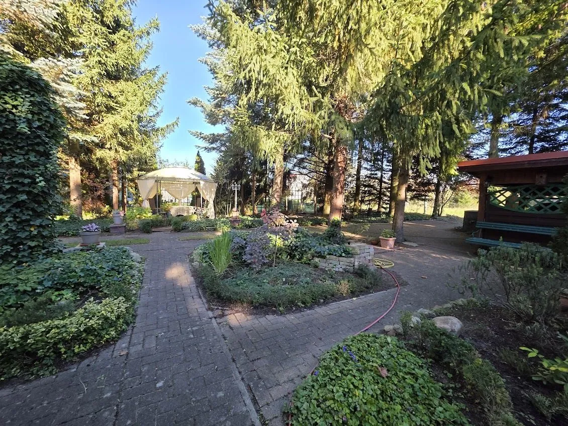 Immobilienangebot - Alt Ruppin - Alle - Idyllisches Waldanwesen - solide saniert - mit Baureserve