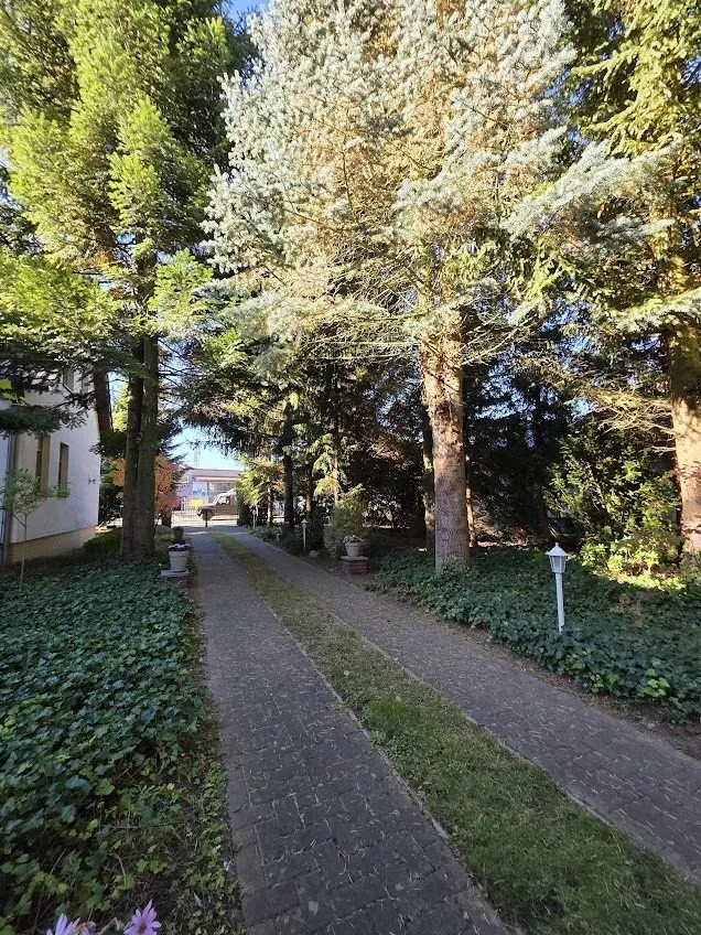 Immobilienangebot - Alt Ruppin - Alle - Idyllisches Waldanwesen - solide saniert - mit Baureserve