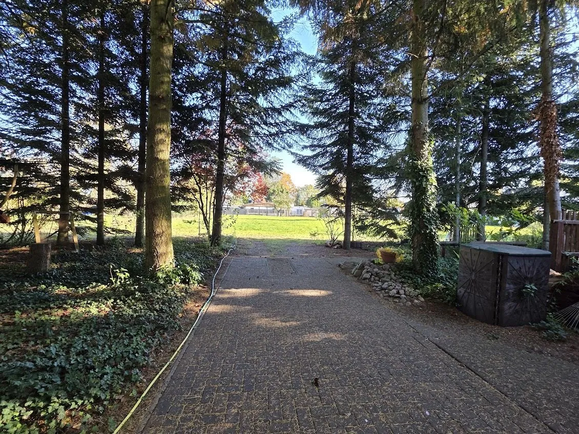 Immobilienangebot - Alt Ruppin - Alle - Idyllisches Waldanwesen - solide saniert - mit Baureserve