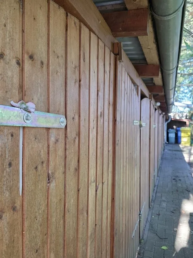 Immobilienangebot - Alt Ruppin - Alle - Idyllisches Waldanwesen - solide saniert - mit Baureserve