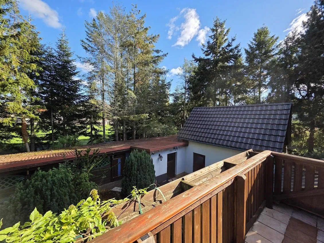 Immobilienangebot - Alt Ruppin - Alle - Idyllisches Waldanwesen - solide saniert - mit Baureserve