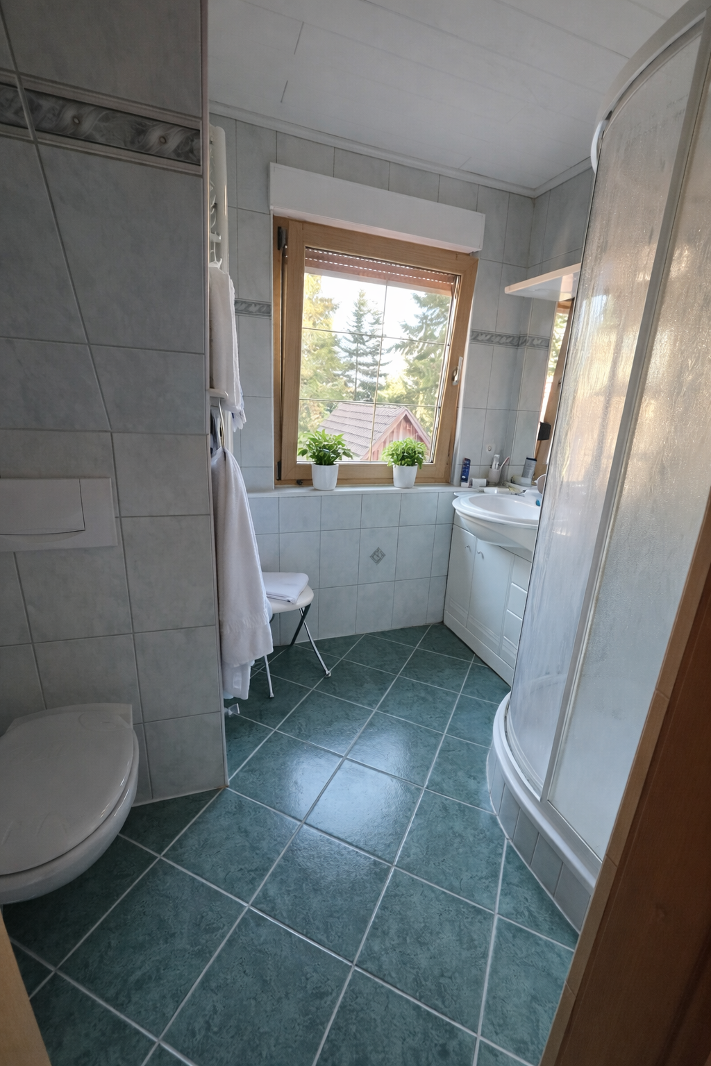 Immobilienangebot - Alt Ruppin - Alle - Idyllisches Waldanwesen - solide saniert - mit Baureserve