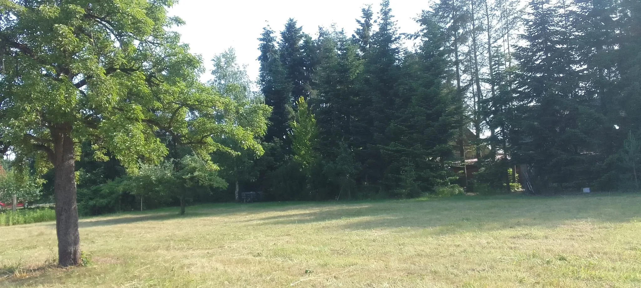 Immobilienangebot - Alt Ruppin - Alle - Idyllisches Waldanwesen - solide saniert - mit Baureserve