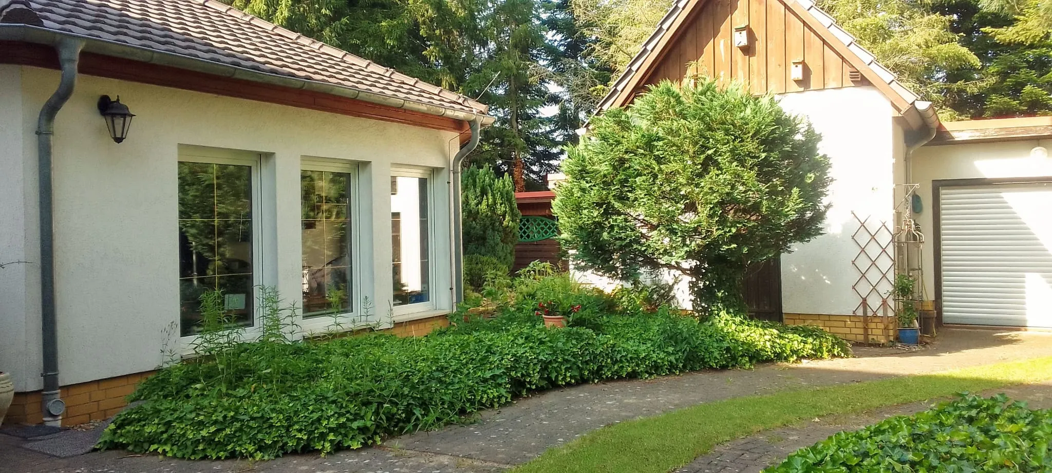 Immobilienangebot - Alt Ruppin - Alle - Idyllisches Waldanwesen - solide saniert - mit Baureserve